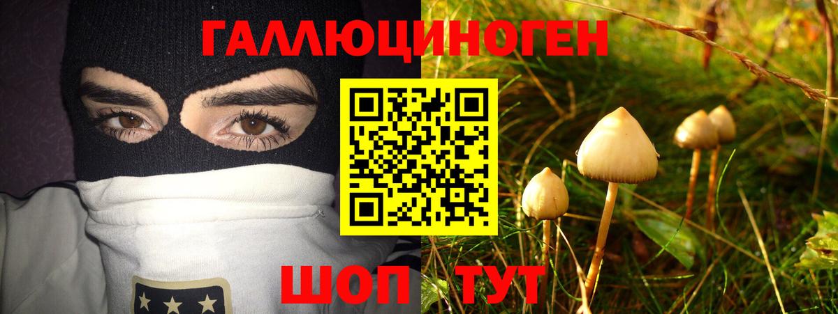Галлюциногенные грибы Psilocybe  Вход с VPN  Новокубанск 