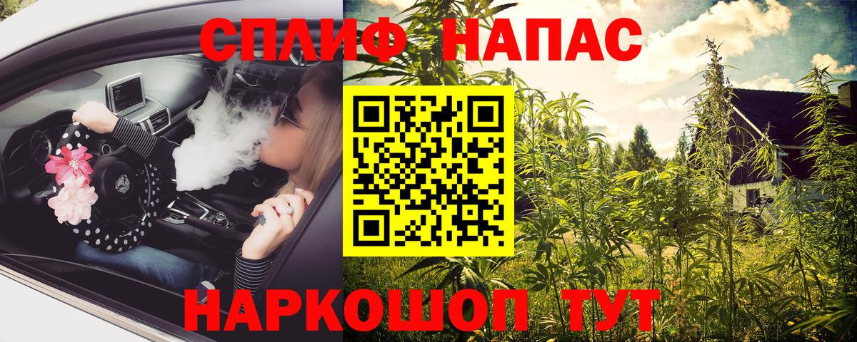 Канабис VHQ Новокубанск